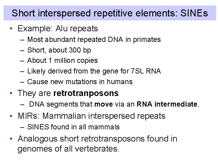 Short interspersed repetitive elements: SINEs • Example: Alu repeats – – – Most abundant