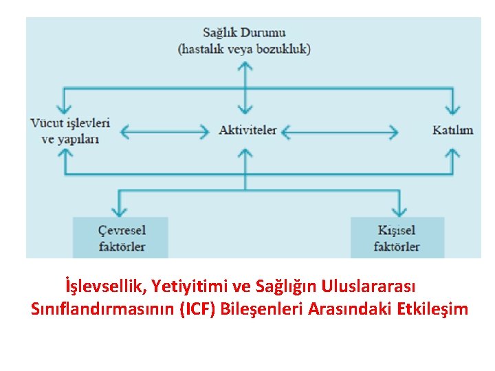 İşlevsellik, Yetiyitimi ve Sağlığın Uluslararası Sınıflandırmasının (ICF) Bileşenleri Arasındaki Etkileşim 