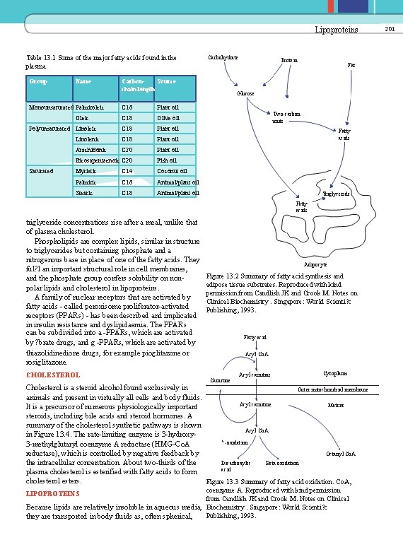 Lipoproteins Table 13. 1 Some of the major fatty acids found in the plasma