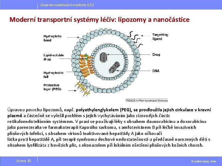 Úvod do molekulární medicíny 8/12 Moderní transportní systémy léčiv: lipozomy a nanočástice Úpravou povrchu Úvod do molekulární medicíny 8/12 Moderní transportní systémy léčiv: lipozomy a nanočástice Úpravou povrchu