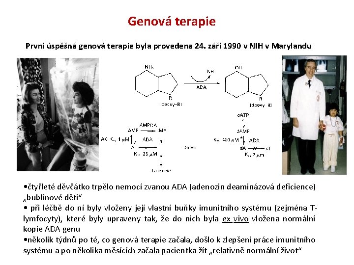 Genová terapie První úspěšná genová terapie byla provedena 24. září 1990 v NIH v