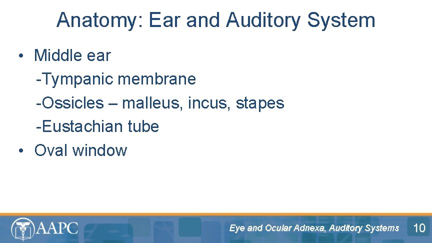 Anatomy: Ear and Auditory System • Middle ear -Tympanic membrane -Ossicles – malleus, incus,