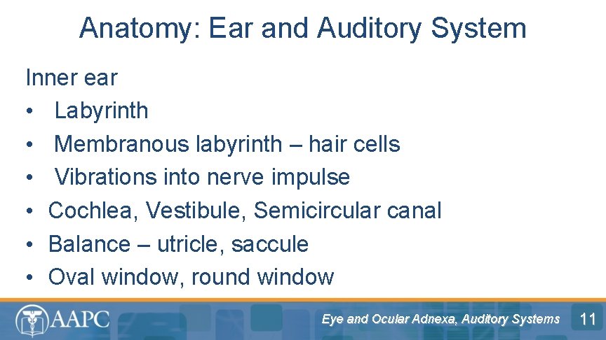 Anatomy: Ear and Auditory System Inner ear • Labyrinth • Membranous labyrinth – hair