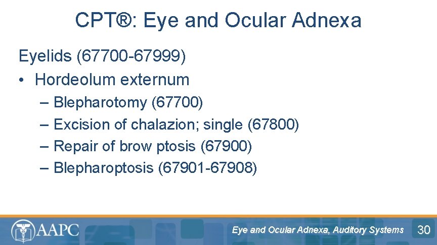 CPT®: Eye and Ocular Adnexa Eyelids (67700 -67999) • Hordeolum externum – – Blepharotomy