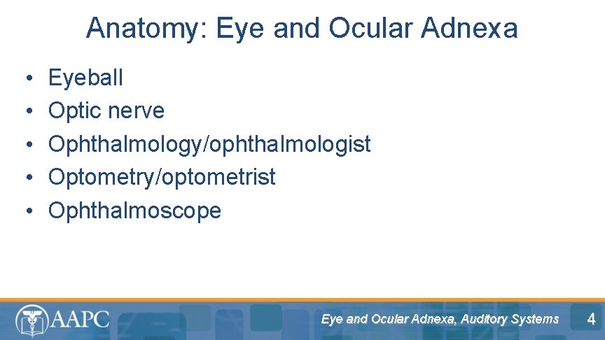 Anatomy: Eye and Ocular Adnexa • • • Eyeball Optic nerve Ophthalmology/ophthalmologist Optometry/optometrist Ophthalmoscope