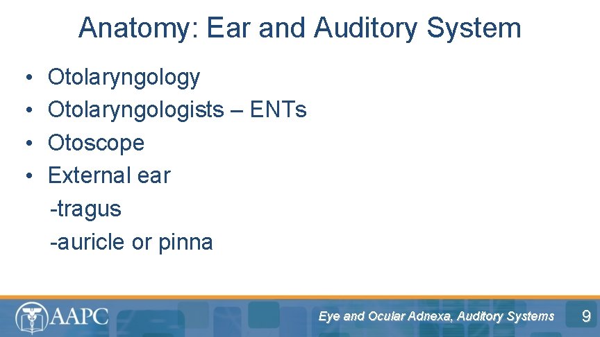 Anatomy: Ear and Auditory System • Otolaryngology • Otolaryngologists – ENTs • Otoscope •