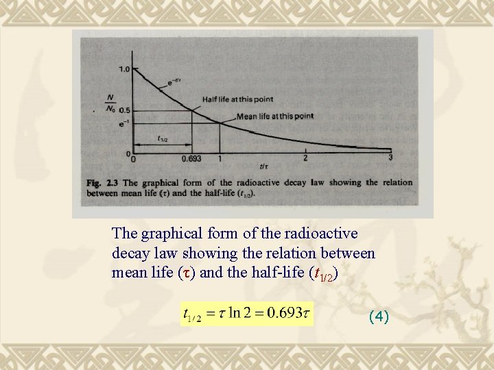 The graphical form of the radioactive decay law showing the relation between mean life