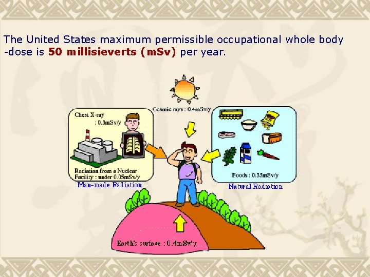 The United States maximum permissible occupational whole body -dose is 50 millisieverts (m. Sv)