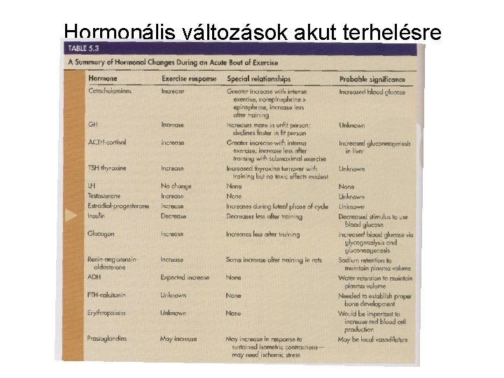 Hormonális változások akut terhelésre Hormonális változások akut terhelésre