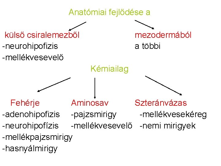 Anatómiai fejlődése a külső csiralemezből -neurohipofizis -mellékvesevelő mezodermából a többi Kémiailag Fehérje Aminosav Szteránvázas Anatómiai fejlődése a külső csiralemezből -neurohipofizis -mellékvesevelő mezodermából a többi Kémiailag Fehérje Aminosav Szteránvázas