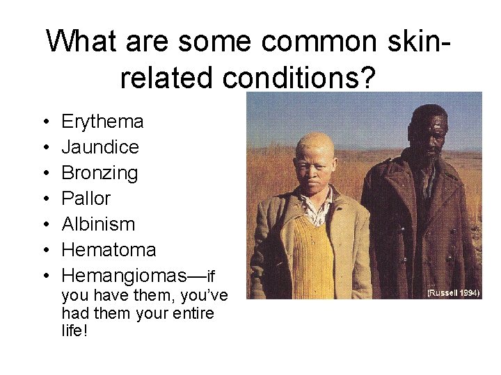 What are some common skinrelated conditions? • • Erythema Jaundice Bronzing Pallor Albinism Hematoma