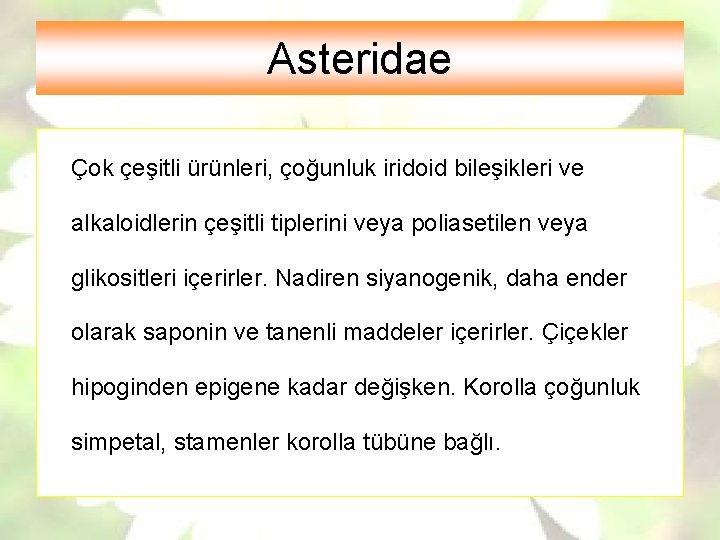 Asteridae Çok çeşitli ürünleri, çoğunluk iridoid bileşikleri ve alkaloidlerin çeşitli tiplerini veya poliasetilen veya