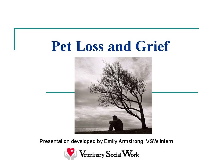 Pet Loss and Grief Presentation developed by Emily Armstrong, VSW intern 