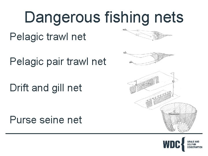 Dangerous fishing nets Pelagic trawl net Pelagic pair trawl net Drift and gill net