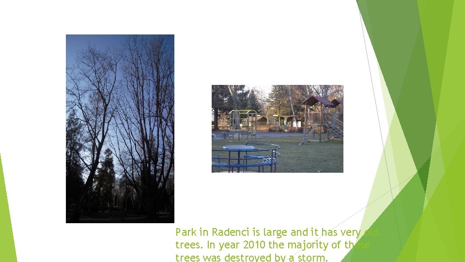Park in Radenci is large and it has very old trees. In year 2010