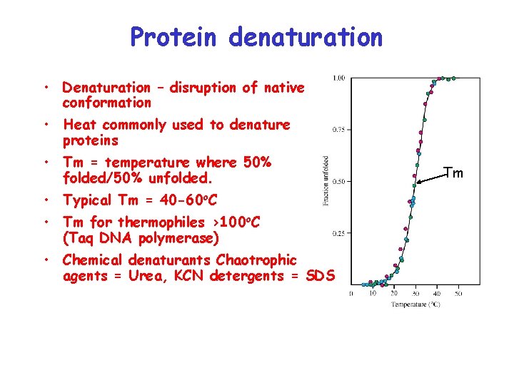 Protein denaturation • Denaturation – disruption of native conformation • Heat commonly used to
