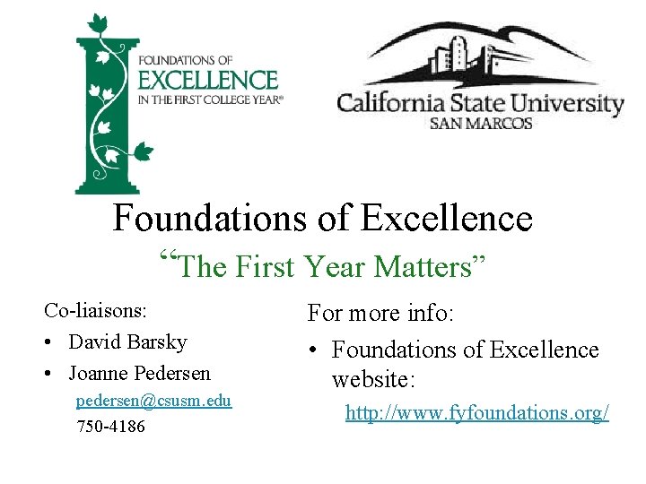 Foundations of Excellence “The First Year Matters” Co-liaisons: • David Barsky • Joanne Pedersen Foundations of Excellence “The First Year Matters” Co-liaisons: • David Barsky • Joanne Pedersen