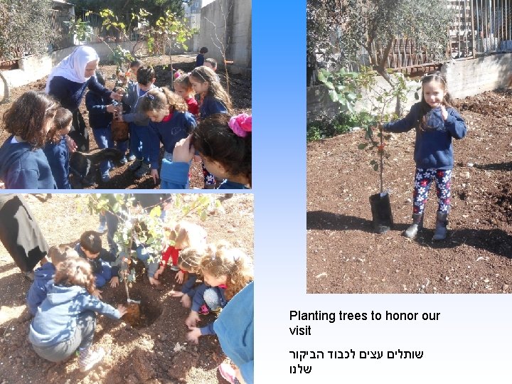 Planting trees to honor our visit שותלים עצים לכבוד הביקור שלנו 