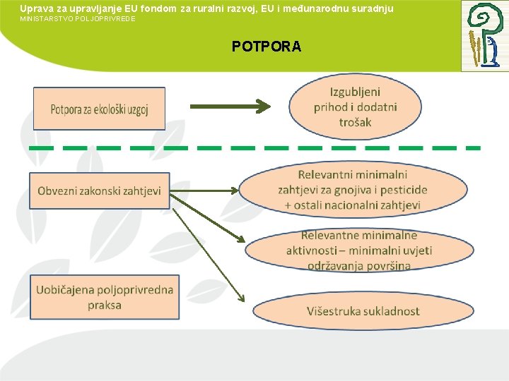 Uprava za upravljanje EU fondom za ruralni razvoj, EU i međunarodnu suradnju MINISTARSTVO POLJOPRIVREDE