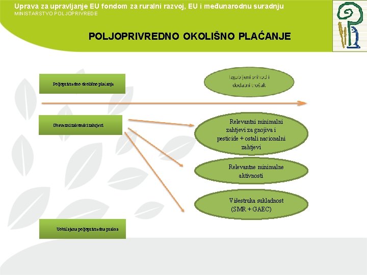 Uprava za upravljanje EU fondom za ruralni razvoj, EU i međunarodnu suradnju MINISTARSTVO POLJOPRIVREDE