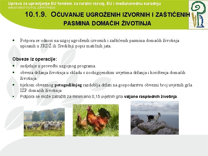 Uprava za upravljanje EU fondom za ruralni razvoj, EU i međunarodnu suradnju MINISTARSTVO POLJOPRIVREDE