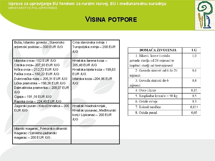 Uprava za upravljanje EU fondom za ruralni razvoj, EU i međunarodnu suradnju MINISTARSTVO POLJOPRIVREDE