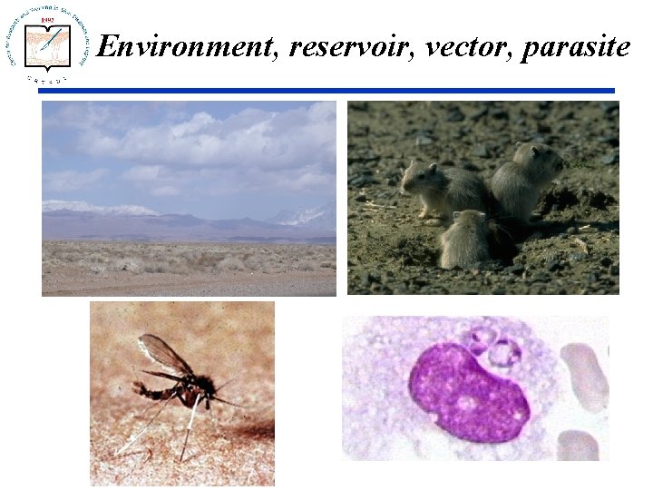 Environment, reservoir, vector, parasite 