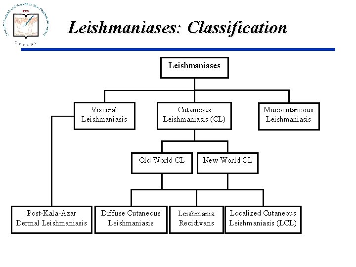 Leishmaniases: Classification Leishmaniases Visceral Leishmaniasis Cutaneous Leishmaniasis (CL) Old World CL Post-Kala-Azar Dermal Leishmaniasis