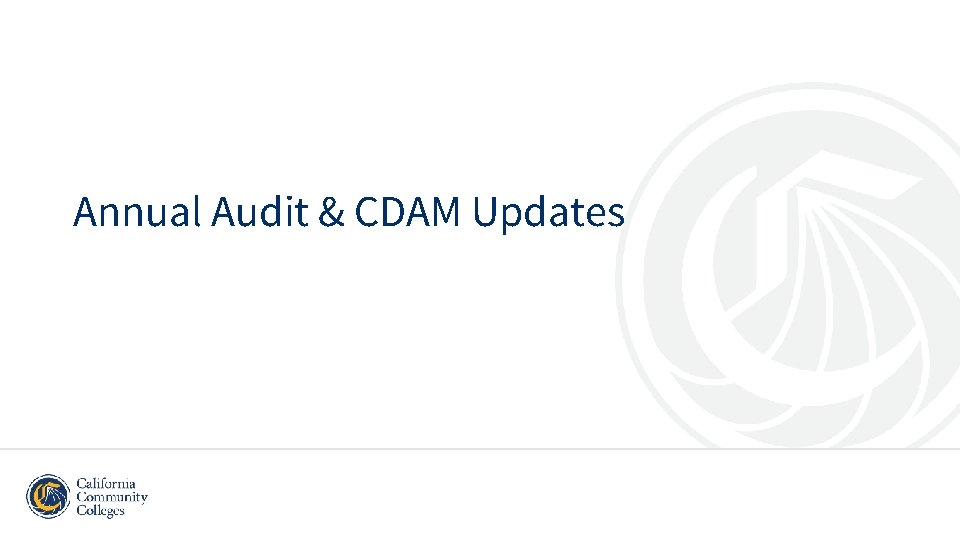 Annual Audit & CDAM Updates 