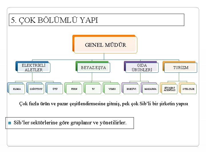 5. ÇOK BÖLÜMLÜ YAPI GENEL MÜDÜR ELEKTRİKLİ ALETLER KLİMA SOĞUTUCU GIDA ÜRÜNLERİ BEYAZ EŞYA