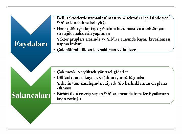 Faydaları Sakıncaları • Belli sektörlerde uzmanlaşılması ve o sektörler içerisinde yeni Sib’ler kurabilme kolaylığı