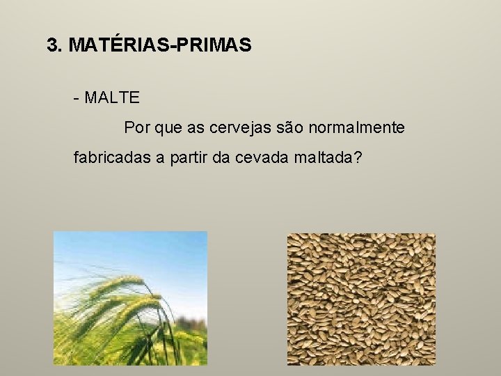 3. MATÉRIAS-PRIMAS - MALTE Por que as cervejas são normalmente fabricadas a partir da