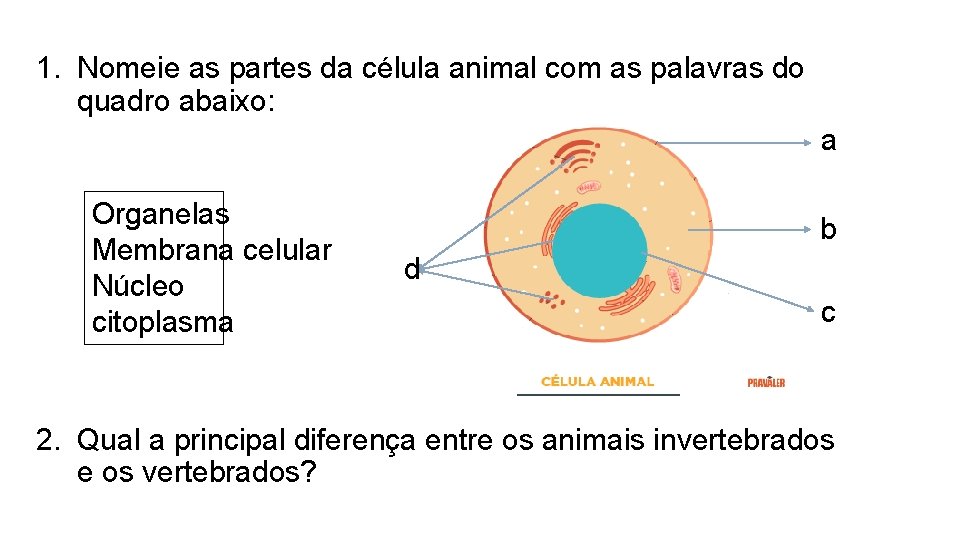 1. Nomeie as partes da célula animal com as palavras do quadro abaixo: a