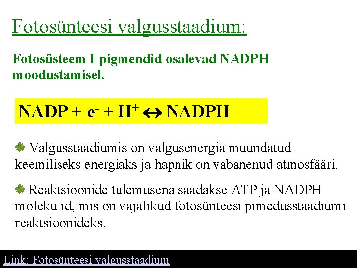 Fotosünteesi valgusstaadium: Fotosüsteem I pigmendid osalevad NADPH moodustamisel. NADP + e- + H+ NADPH