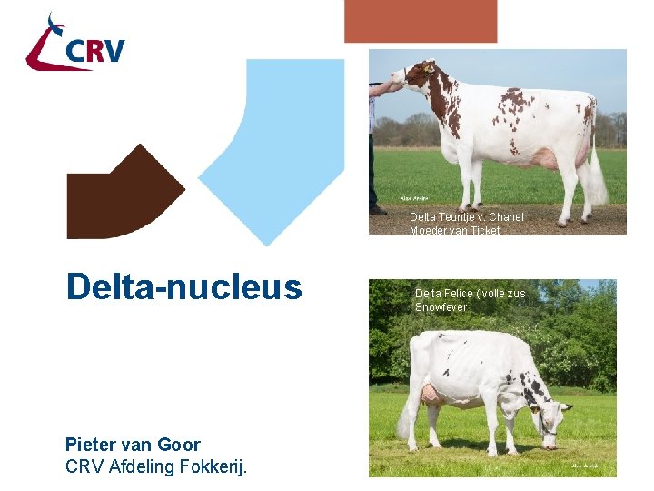 Delta Bookem Danno Delta Teuntje v. Chanel Moeder van Ticket Delta Sissy VG 89