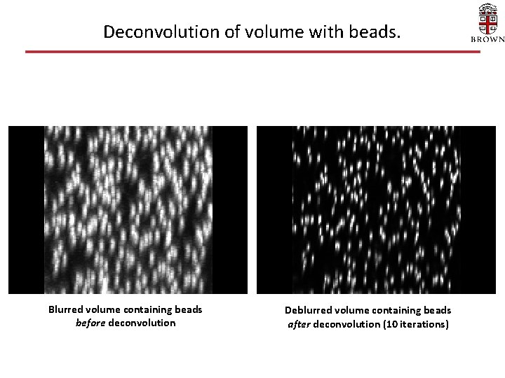 Deconvolution of volume with beads. Blurred volume containing beads before deconvolution Deblurred volume containing Deconvolution of volume with beads. Blurred volume containing beads before deconvolution Deblurred volume containing