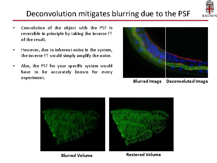 Deconvolution mitigates blurring due to the PSF • Convolution of the object with the Deconvolution mitigates blurring due to the PSF • Convolution of the object with the