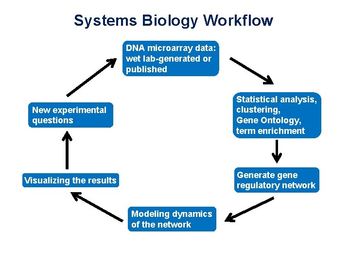 Systems Biology Workflow DNA microarray data: wet lab-generated or published New experimental questions Statistical