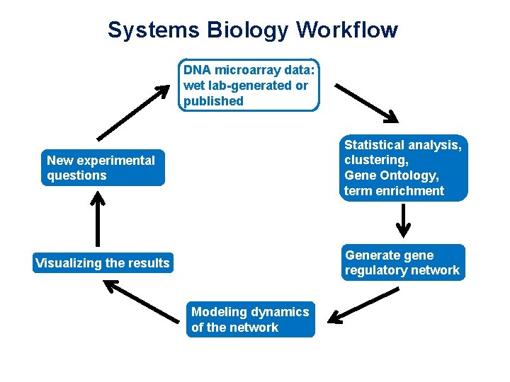 Systems Biology Workflow DNA microarray data: wet lab-generated or published New experimental questions Statistical