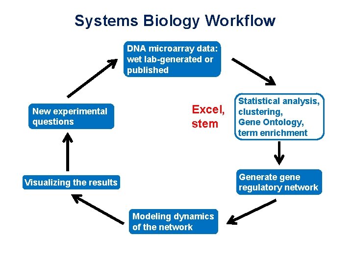 Systems Biology Workflow DNA microarray data: wet lab-generated or published New experimental questions Excel,