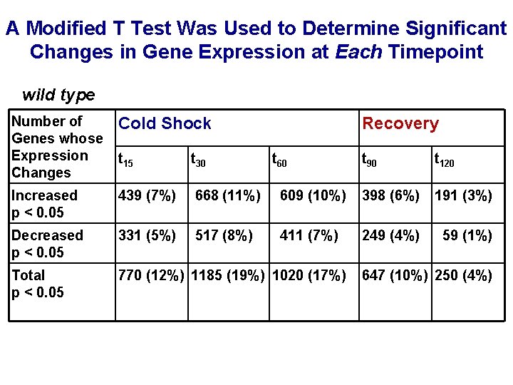 A Modified T Test Was Used to Determine Significant Changes in Gene Expression at