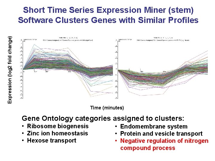 Expression (log 2 fold change) Short Time Series Expression Miner (stem) Software Clusters Genes