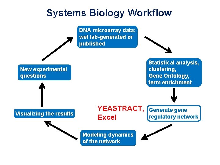 Systems Biology Workflow DNA microarray data: wet lab-generated or published Statistical analysis, clustering, Gene