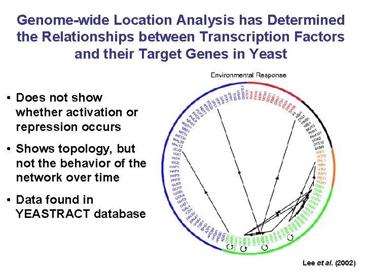 Genome-wide Location Analysis has Determined the Relationships between Transcription Factors and their Target Genes