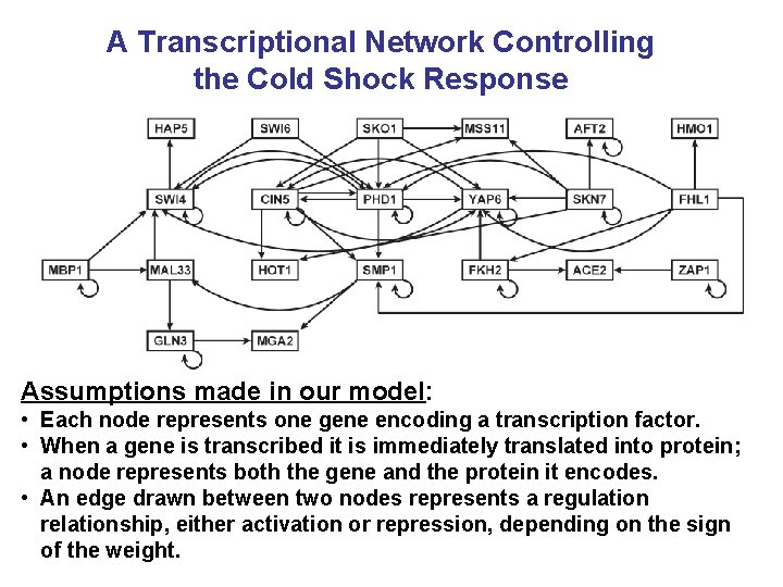 A Transcriptional Network Controlling the Cold Shock Response Assumptions made in our model: •