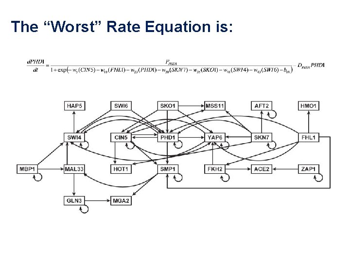 The “Worst” Rate Equation is: 