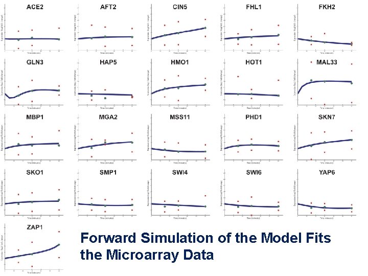 Forward Simulation of the Model Fits the Microarray Data 