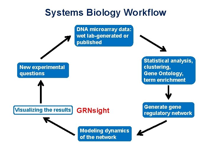 Systems Biology Workflow DNA microarray data: wet lab-generated or published New experimental questions Statistical