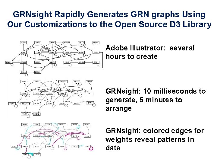 GRNsight Rapidly Generates GRN graphs Using Our Customizations to the Open Source D 3