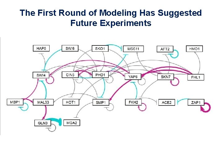 The First Round of Modeling Has Suggested Future Experiments 